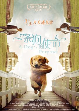 bestialityvideo另类异族